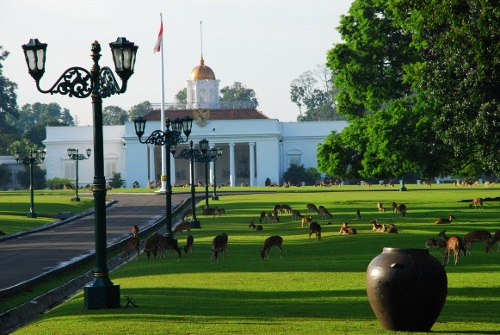 Bogor Jadi Destination of Golf Pada 2020